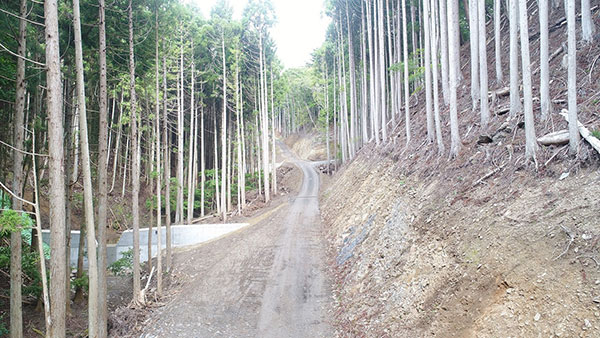 黒森沢復旧治山工事4